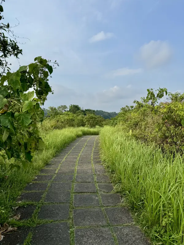 una strada del Campuhan Ridge di Ubud