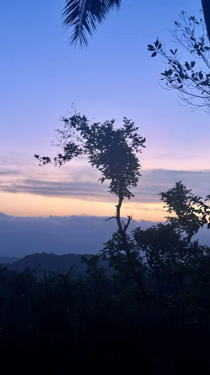 Panorama Munduk - Cielo di colore Viola