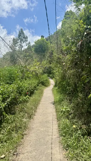 Trekking a Bali - Munduk