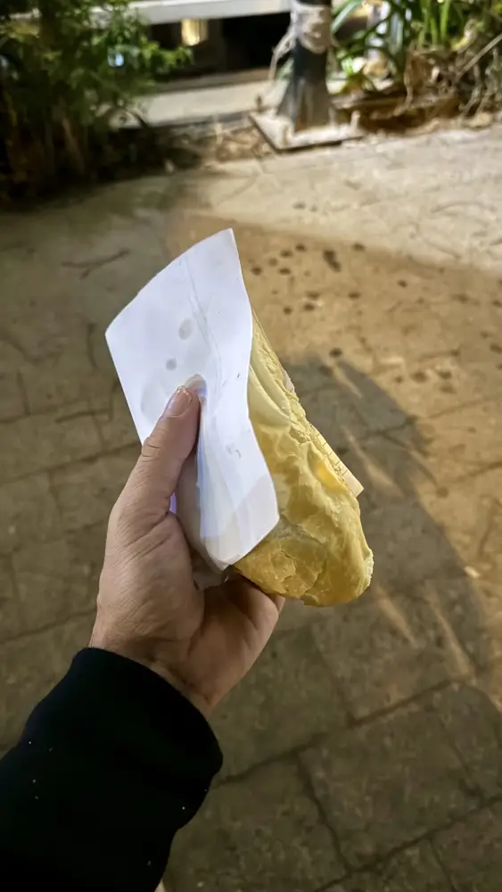Panino Vietnamita