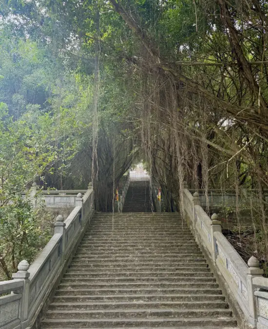 Giardini delle Bai Dinh Pagoda