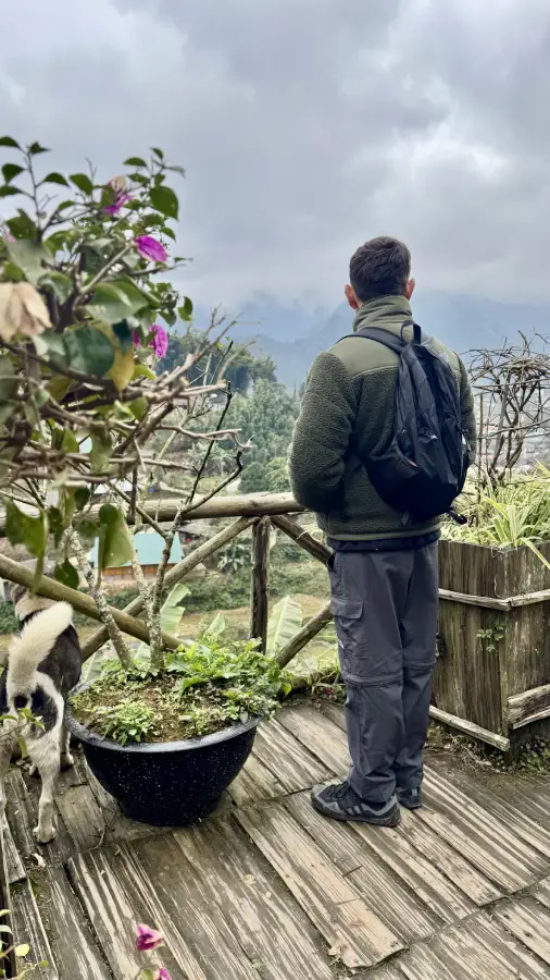 io al cat cat village