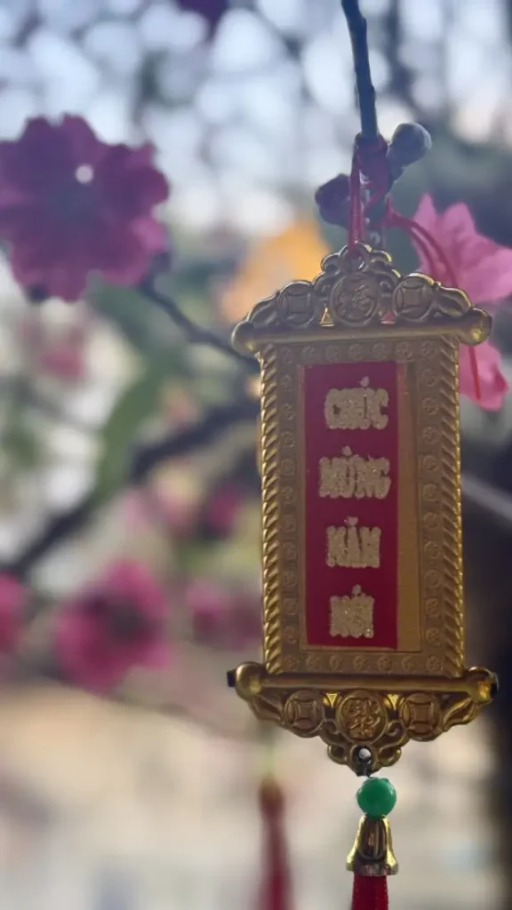tour spirituale di bai dinh