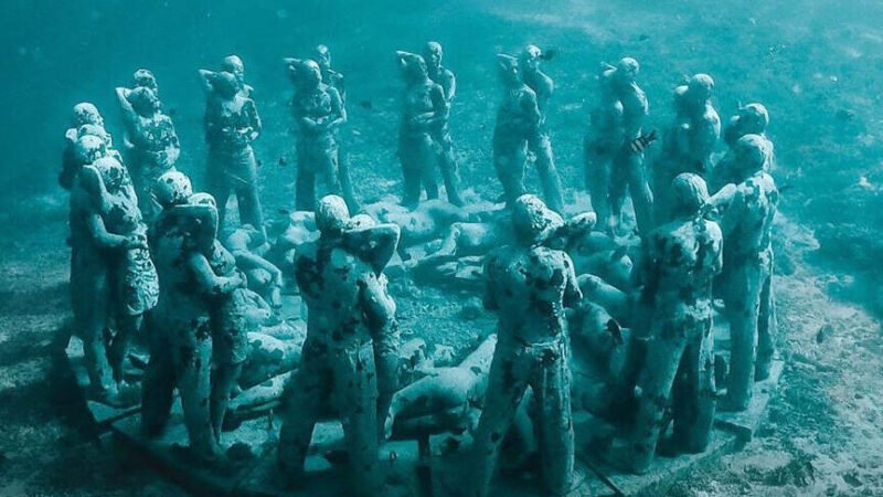 Bask Nest _Indonesia