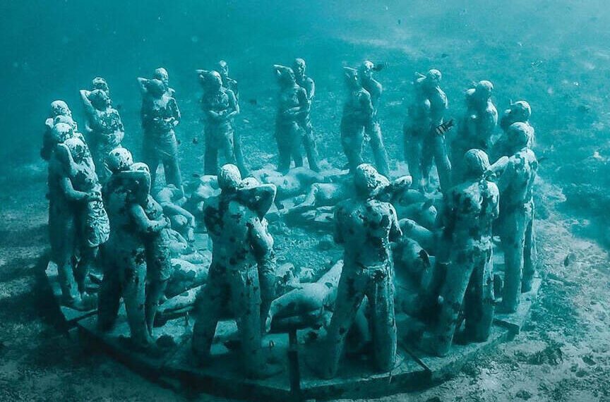 Bask Nest _Indonesia