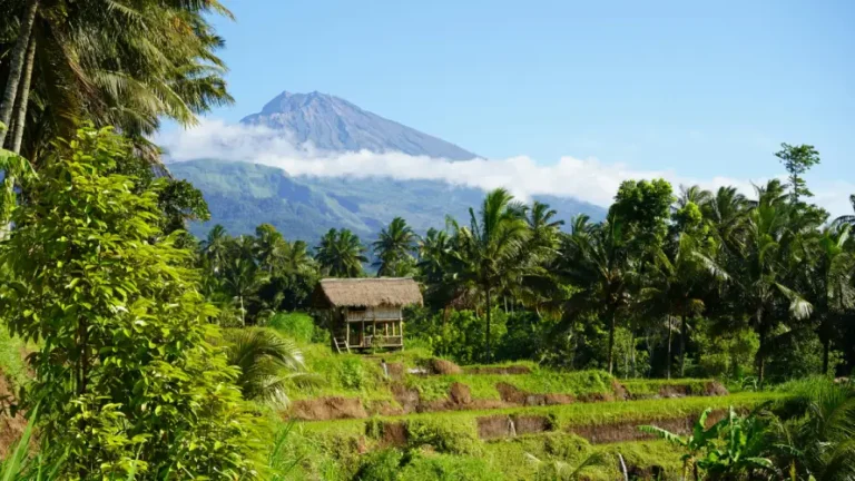 Vista su Tetebatu
