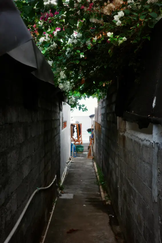 Bali nord vista su una via