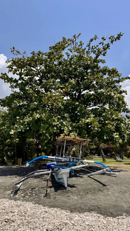 Bali nord Premuteran