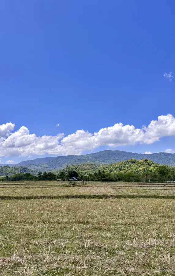 cielo e risaie in Indonesia