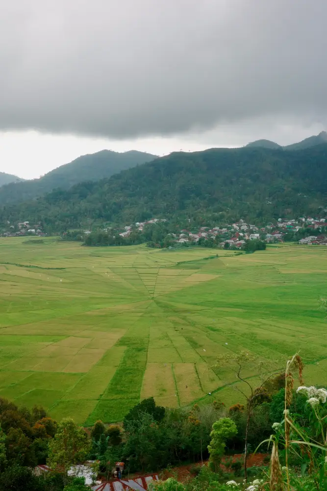Cancar spider terrace