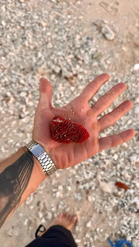 Coralli Rossi - Maluk beach 