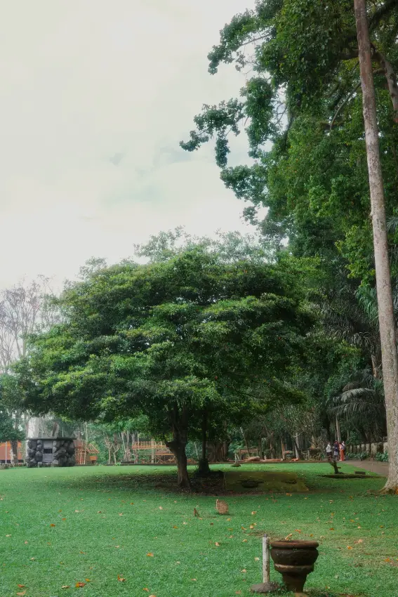 il giardino della foresta