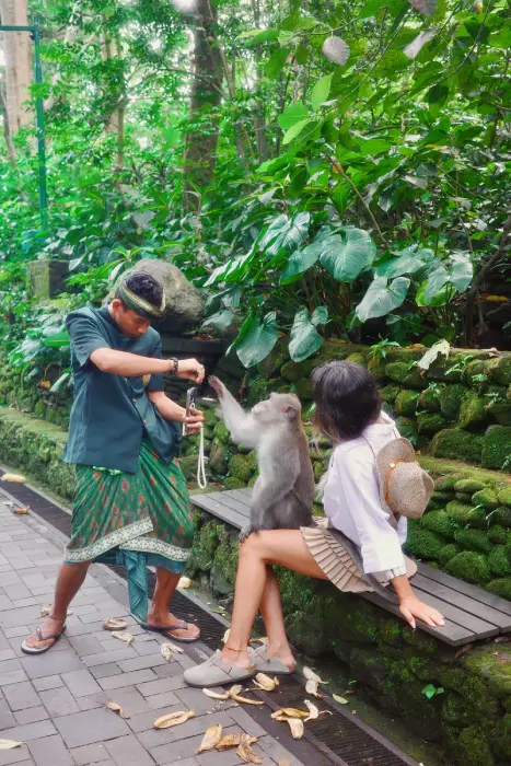 fotografia monkey forest ubud