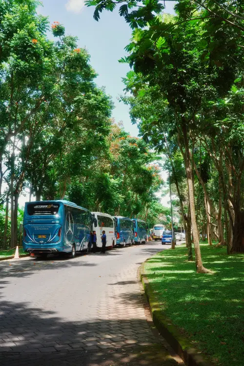 tour alla foresta delle scimmie di Ubud
