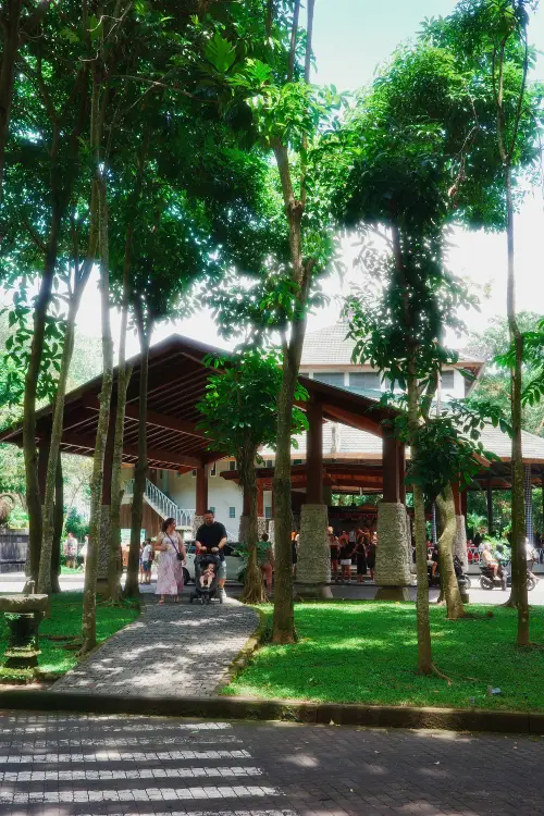 Ingresso foresta delle scimmie