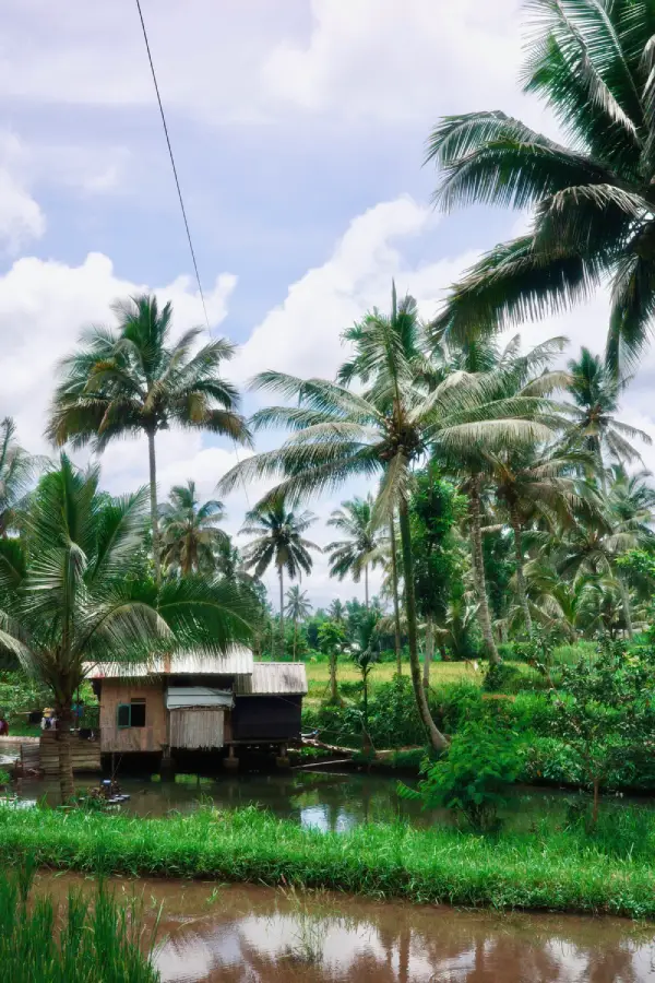 una casa nelle risaie