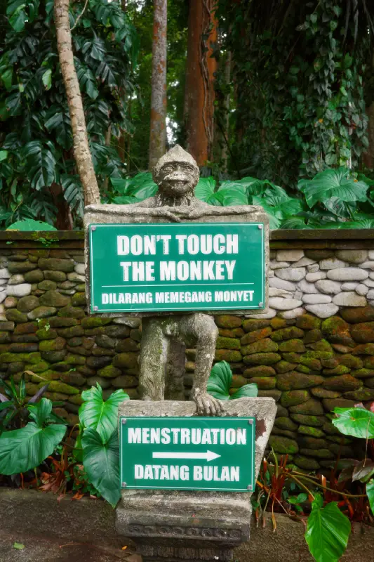 insegna foresta delle scimmie