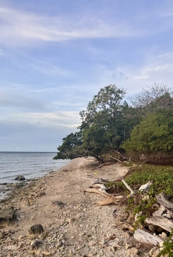 Spiaggia e mare in Indonesia