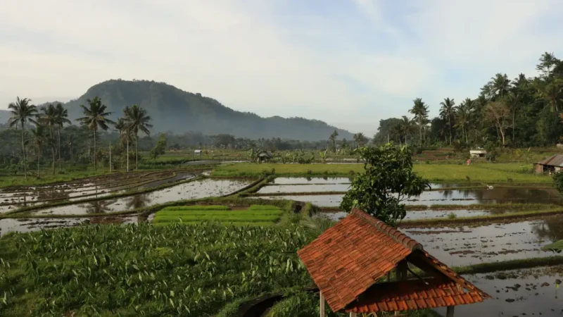 La valle di Sidemen a Bali