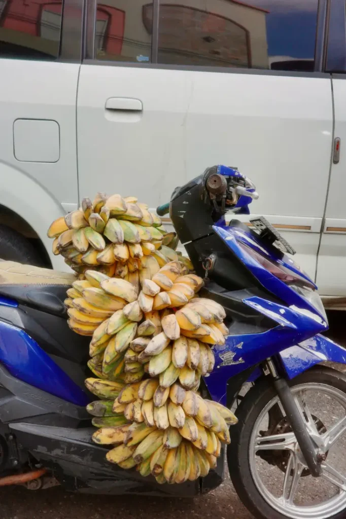 motorino al mercato di Flores