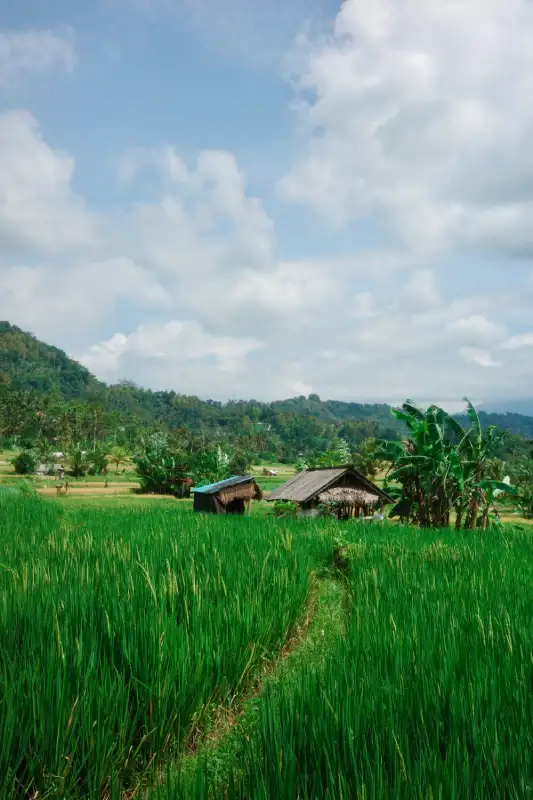 il villaggio di Sidemen in Indonesia