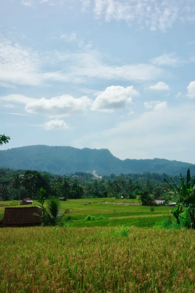 passeggiate tra le risai