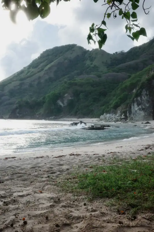 spiaggia di Coconut Beach Isola di Flores