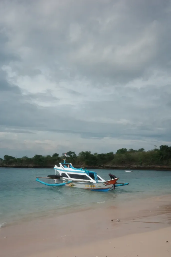 servizio tour per pink beach