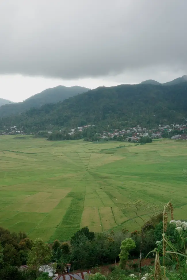Spider terrace Isola di Flores