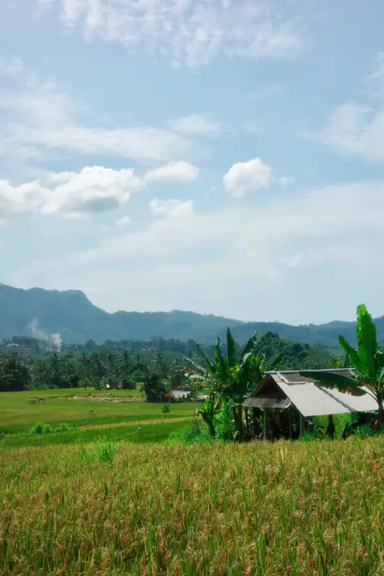 Villaggio di Sideman