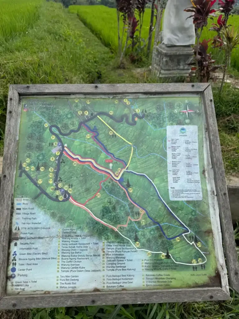 mappa jatiluwih rice terraces