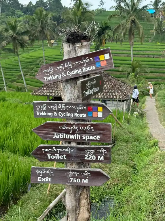 jatiluwih terraces