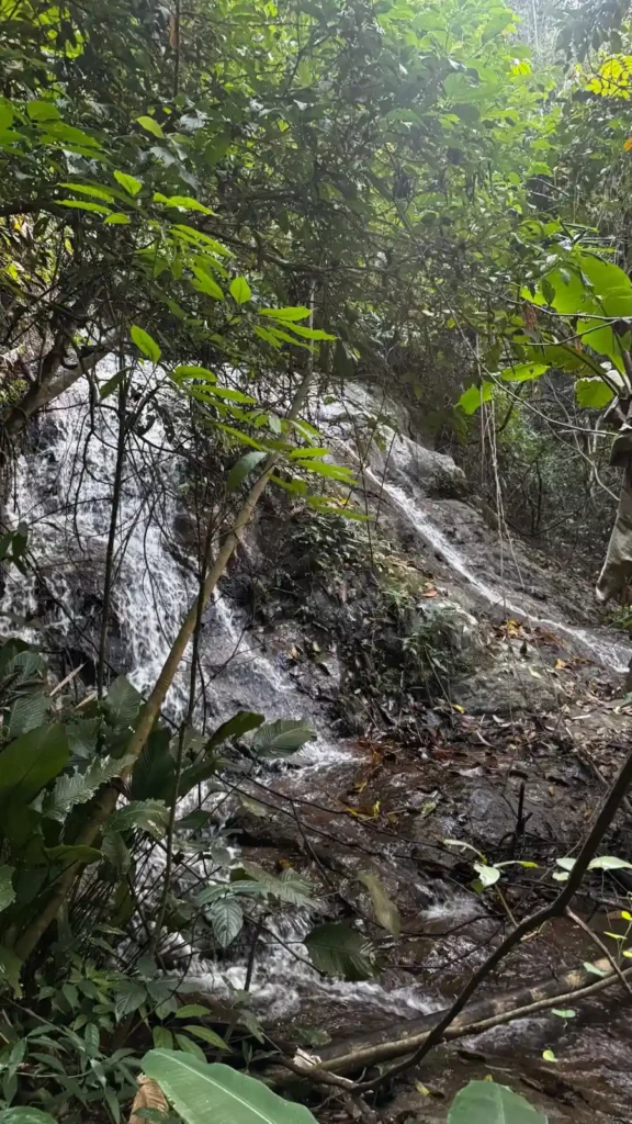 cascata nella foresta vicino Chiang MAi
