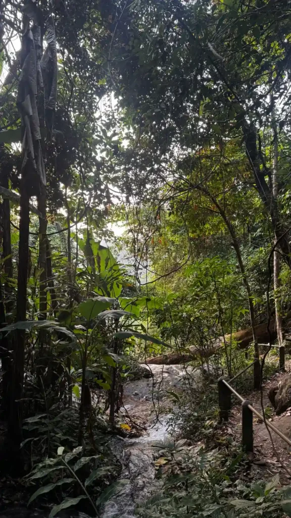 trekking Mae Kampong