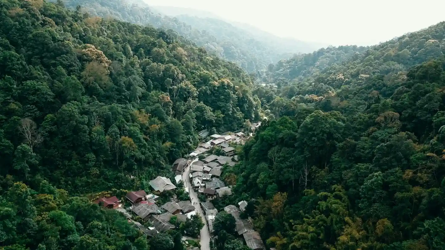Al momento stai visualizzando Mae Kampong, il villaggio del caffè nella foresta di Chiang Mai