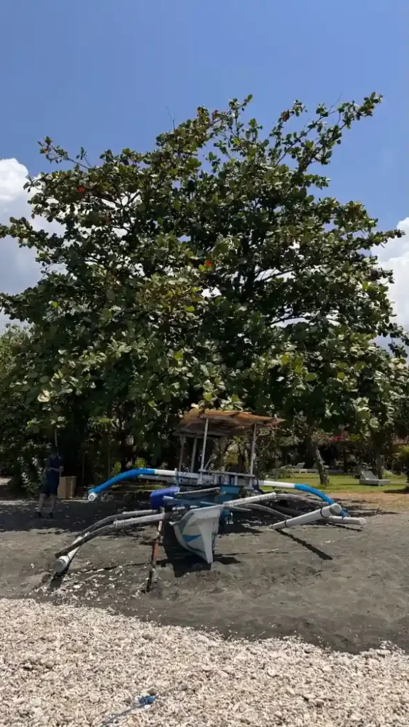 Pemuteran spiaggia