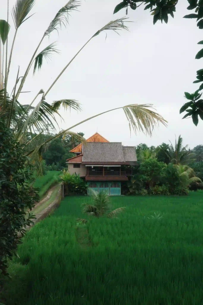 Risaie Sidemen Village