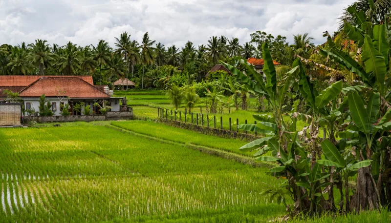 Scopri di più sull'articolo Dove alloggiare a Bali: guida alle zone migliori (2026)