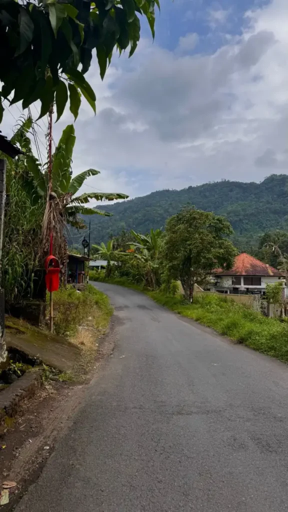 una strada a Bali